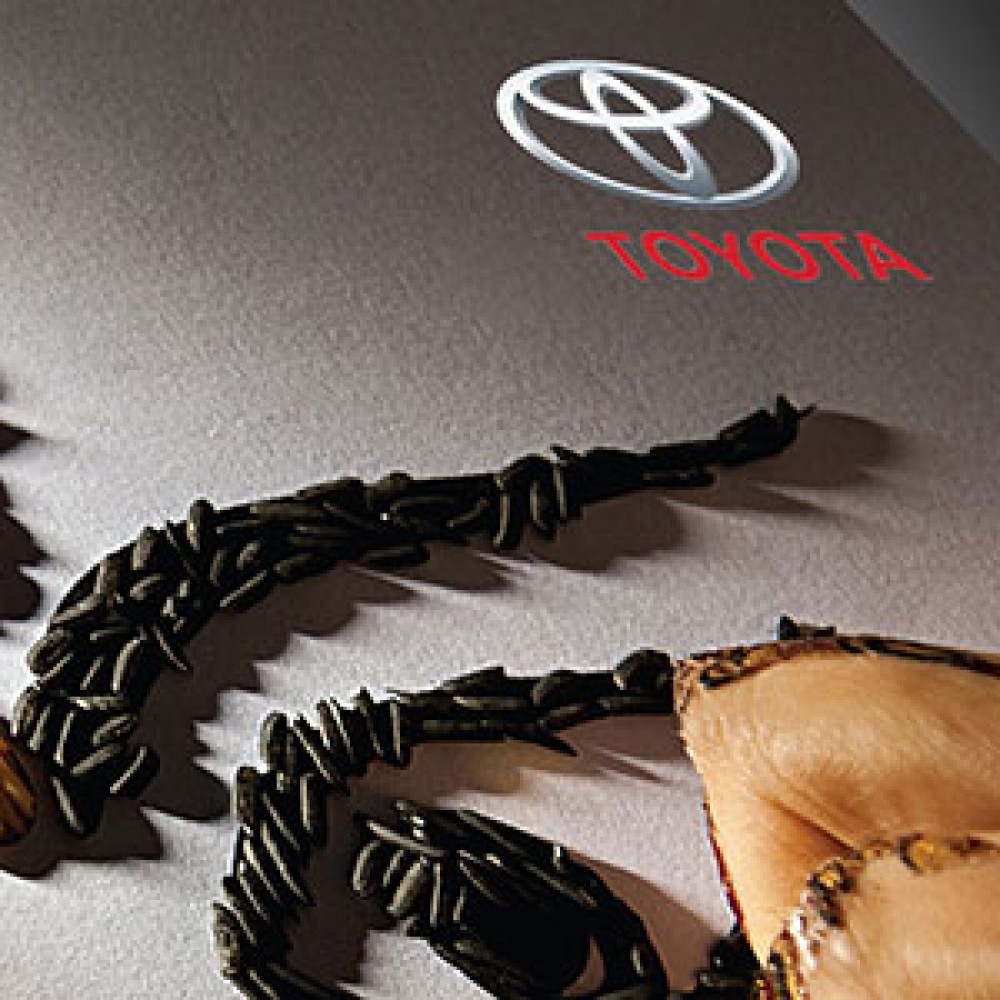 Dashain Card for VOITH