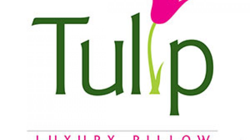 Tulip